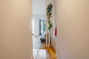 Luminous apartment in the heart of Porto