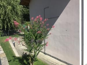 Ville Belvedere - by MyHomeInComo