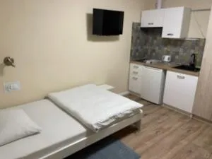 Villa Pod Orzechem w Zaniemyślu - 扎涅梅希尔