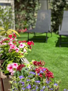 Ivy, 4 minutes from the sea