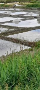 Appartements APPARTEMENT LES PIEDS DANS L'EAU : photos des chambres