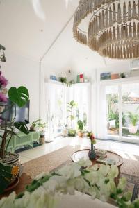 DORALICE by a Paddy Field