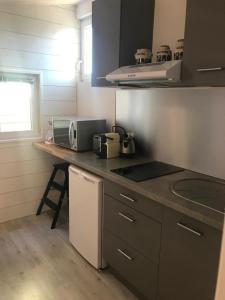 Appart'hotels Ecolodge Appartements 2 pieces cosy gare : photos des chambres