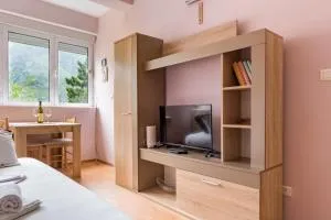 Apartment Gana - Plagente