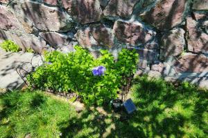 Beautiful & Cozy one Bedroom Apartment near Boston & Airport