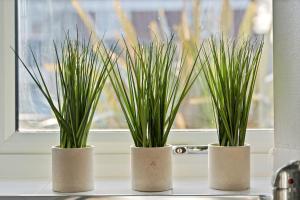 Luxury Birmingham City Centre Townhouse with FREE Parking - Sleeps 4 - Perfect for Contractors, Business Travellers, Families and other Groups - Near Bullring, Newstreet, Selfridges, NEC, NIA & Birmingham airport