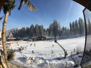 Pensiunea "Casa Frasin"