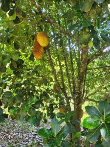 Casa aconchegante em lugar lindo e cheio de Paz