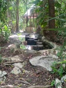 Casa de la Selva-Jungle Getaway with cenotes