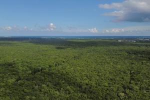 Casa de la Selva-Jungle Getaway with cenotes