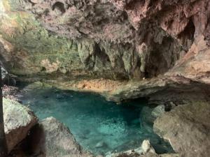 Casa de la Selva-Jungle Getaway with cenotes