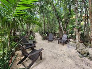 Palapa de la Selva with Cenotes