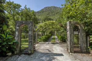 Villa Damore Montenegro