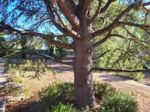 Maison avec piscine chauffée, centre village