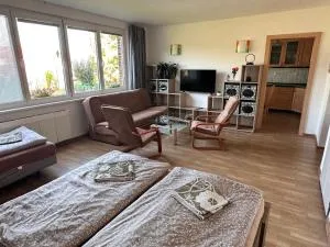 Apartmány U rybníka - 卡门尼乌杰兹德