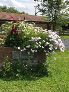 Leverets - Squirrel Lane Lodges Ludlow