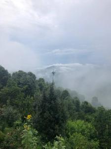 Maya Homestay