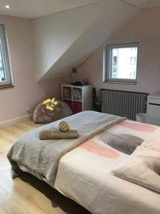 Maison Sallanches 12 couchages