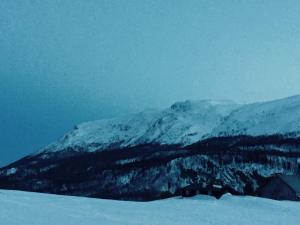 Sjarmerende tømmerhytte på gårdstun