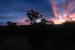 Birdsong Train Carriage Cabin with Outdoor Bath