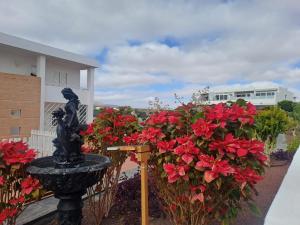 Beautiful Sunset Lanzarote