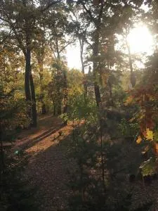 Appartamento di Olga - Malnago