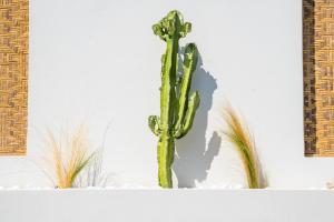 MerTelia Luxury Villas