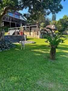 Cosy one bedroom garden cottage