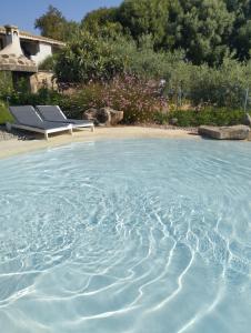 Cuccuru Relax - A IUN Q9882 img31