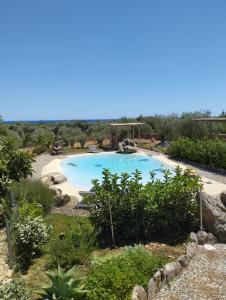 Cuccuru Relax - A IUN Q9882 img44