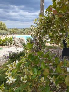 Cuccuru Relax - A IUN Q9882 img39