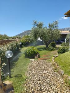 Cuccuru Relax - A IUN Q9882 img45