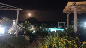 Cuccuru Relax - A IUN Q9882 img53