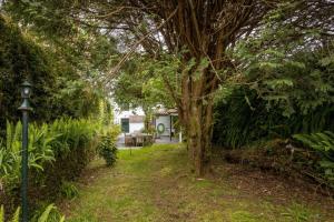 WelcomeBuddy - O Moinho (Furnas Spring Water)