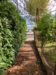 Appartements Les Mirandelles - vue/acces lac : Appartement 1 Chambre