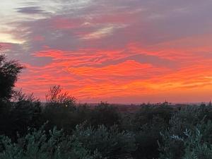 Cuccuru Relax - B IUN Q9882 img27