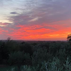 Cuccuru Relax - B IUN Q9882 img22