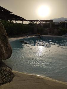 Cuccuru Relax - B IUN Q9882 img35