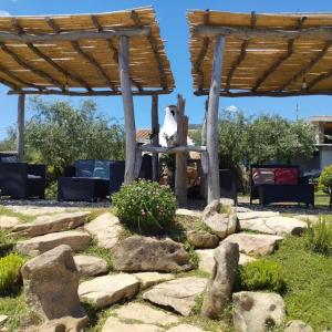 Cuccuru Relax - B IUN Q9882 img41