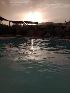 Cuccuru Relax - B IUN Q9882 img40