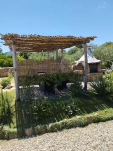 Cuccuru Relax - B IUN Q9882 img53