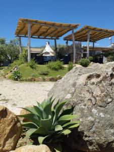 Cuccuru Relax - B IUN Q9882 img60