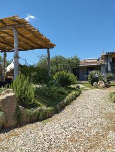 Cuccuru Relax - B IUN Q9882 img64