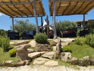 Cuccuru Relax - B IUN Q9882 img59