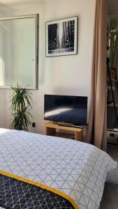 Appartements Proche Stade Toulousain - Blagnac - Parking : photos des chambres