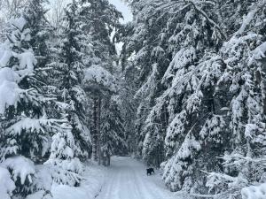 Viesu Nams “Noras”