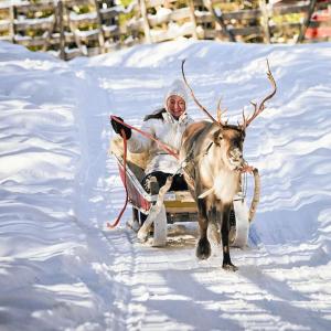 Laplands Little Retreat - Heart of Rovaniemi