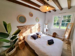 Maisons de vacances La Cabane Wave House - Maison cosy au calme proche lac : photos des chambres