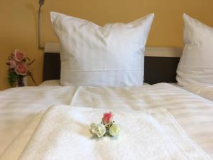 Haus Sterntaucher Appartement 4