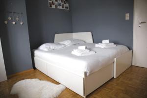 Cozy 3 bedroom house with 11 kw electric car charger